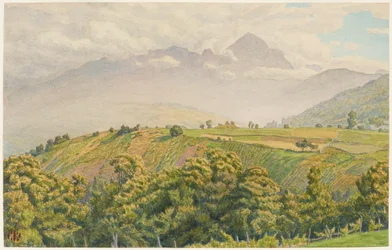 Nebliger Morgen auf dem Charvin