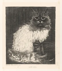 Angora variopinta