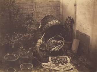 [Natura morta con cesti di paglia, ginestra, sacco di patate aperto e piante in vaso].