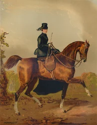 Il cavallo di una signora - Proprietà del defunto conte di Pembroke, c. 1840, c. 1879