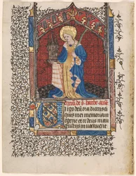Foglia da un Libro d