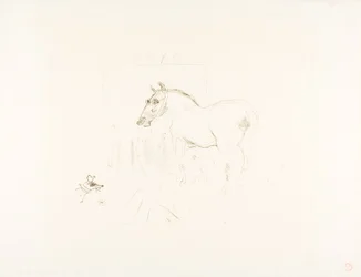 Il piccolo Pony di Calmèse
