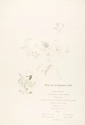 Il coccodrillo, Menu