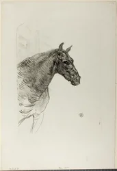 Philibert il Pony