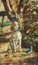 Il cane dell