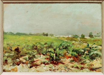 Vista sui vigneti