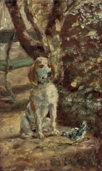 Il cane dell