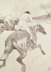 Il fantino