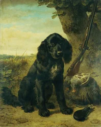 Un retriever a pelo piatto vicino a un albero