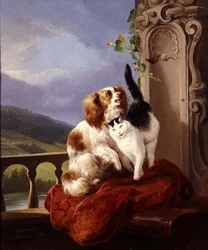 Migliori amici