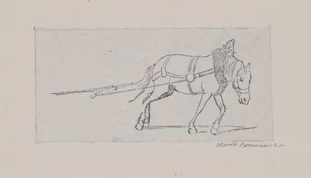 Cavallo che tira