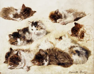 Uno studio di gattini, 1898