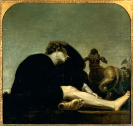 Solitudine all