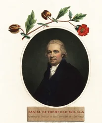 Ritratto di Daniel Rutherford, botanico (incisione)