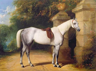Un cavallo grigio vicino ai cancelli del parco, 1851