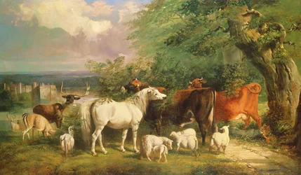 Haddon Hall con pecore, bovini, un cervo e un pony