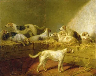 Un canile da caccia (olio su tela)