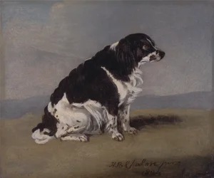 Lo spaniel della Duchessa di York