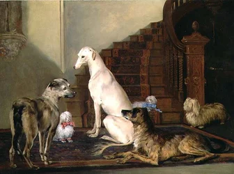 Aspettando ai piedi delle scale