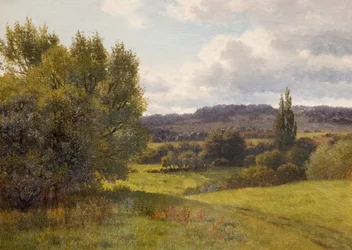 Paesaggio con alberi