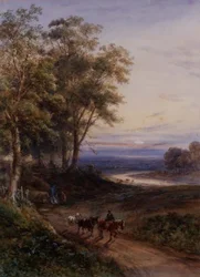 La squadra di tronchi al tramonto