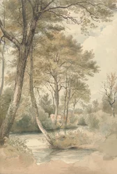 Ruscello con alberi e bestiame vicino a Bromley Hill, Kent