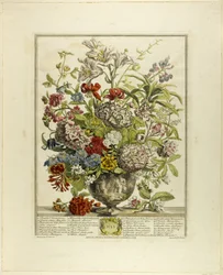 Luglio, da Dodici mesi di fiori