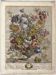 Dodici mesi di fiori: Aprile