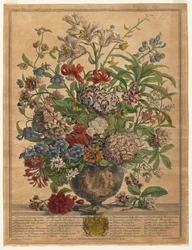Dodici mesi di fiori: luglio, 1730
