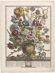 Dodici mesi di fiori: marzo