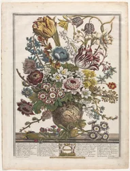 Dodici Mesi di Fiori: Marzo