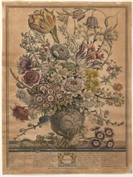 Dodici mesi di fiori: Marzo, 1730