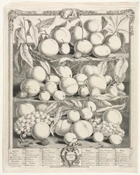 Dodici Mesi di Frutta: Agosto