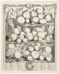 Dodici mesi di frutta: Agosto, 1732