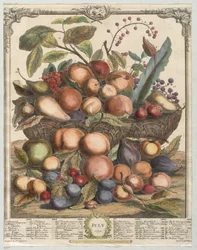 Dodici Mesi di Frutta: Luglio