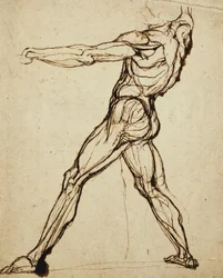 Un nudo che lancia