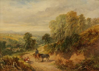 Sulla brughiera a Old Storridge, Worcestershire