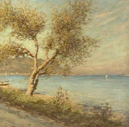 Il Gelso