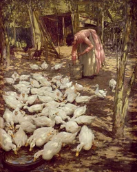 Il piccolo podere, 1896
