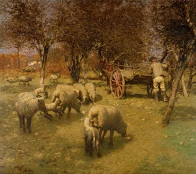 Immagine sconosciuta