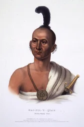 Kai-Pol-E-Quah, volpe dal naso bianco
