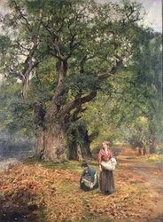 Raccolta di Legna da Ardere