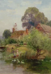 Lo stagno delle anatre