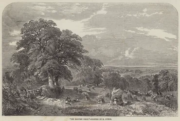 Il campo del raccolto