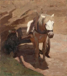 Nella fossa di sabbia