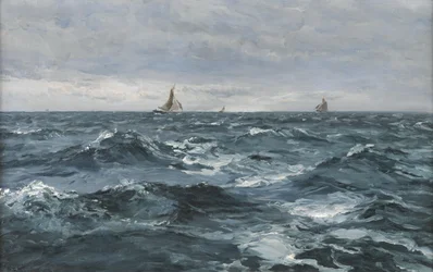 Navigare in mare mosso