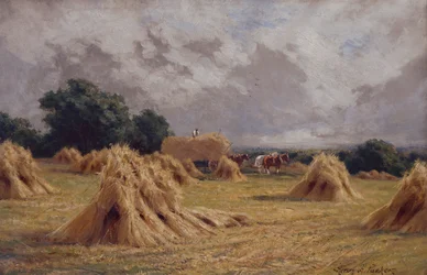 Un campo di grano a Harlow, Essex