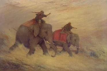 Elefanti in una tempesta di polvere