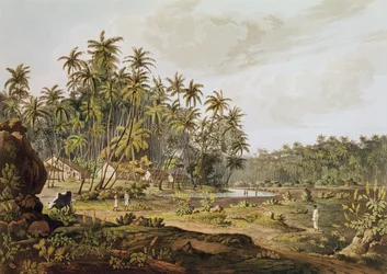 Veduta vicino a Point du Galle, Ceylon, inciso da Daniel Havell (1785-1826) pubblicato nel 1809