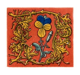 Lettera iniziale D